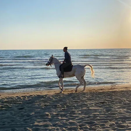 A Mare,pozzuoli-licola * 리콜라