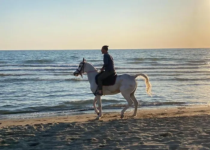 A Mare,pozzuoli-licola * Licola